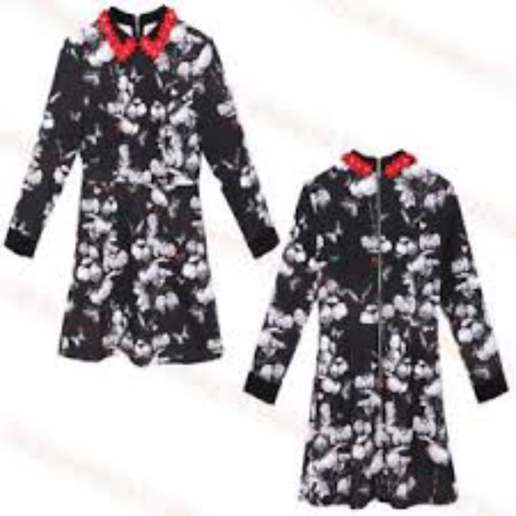 ted baker narnia dress